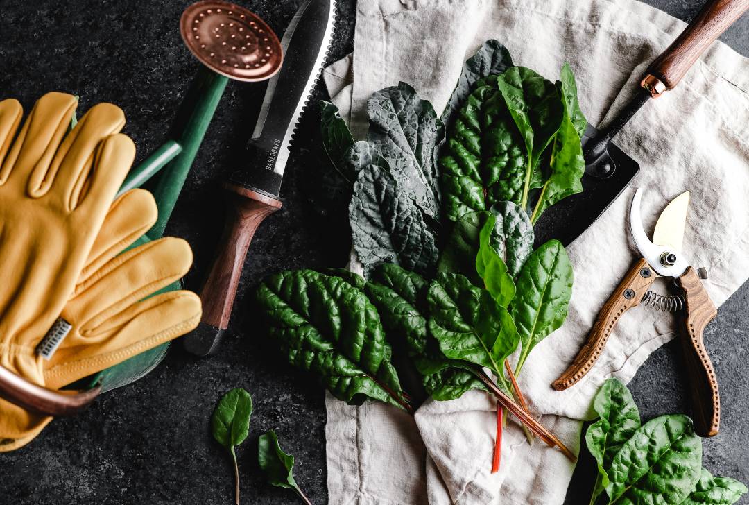 Gardening tools and freshly cut leaves laid out on a table cloth