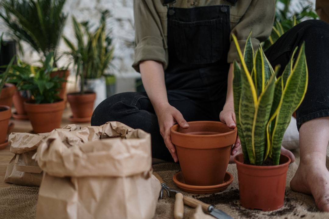 Woman surrounded by plants, sitting down and holding an empty flower pot